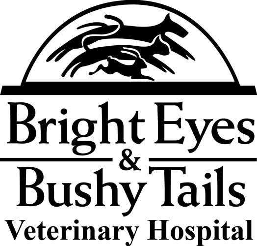 Bright Eyes & Bushy Tails Vet Hospital supports FACF