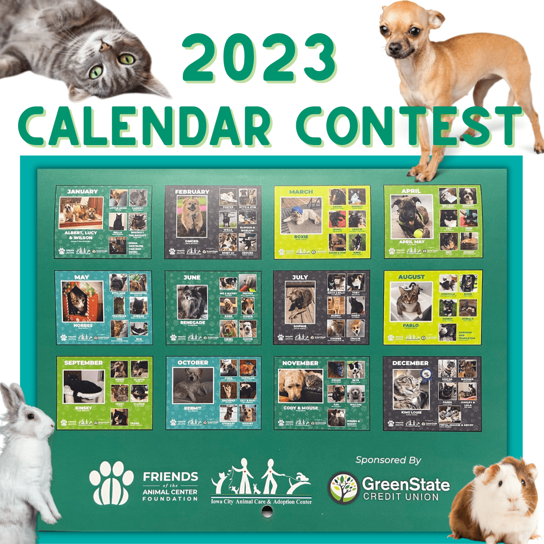 2023 Pet Calendar Contest » Friends of the Animal Center Foundation