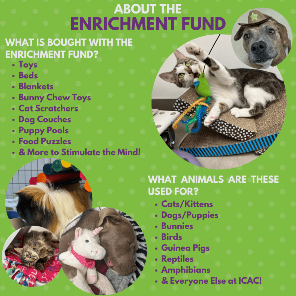Limited Edition Footbridge Foundation 2023 Fiesta Medal With Decal (Half  Moon Cat) — Footbridge Foundation - San Antonio Animal Rescue and Pet